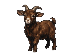 Capricorn animated