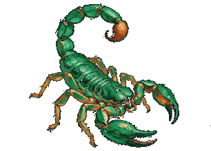 Scorpio animated