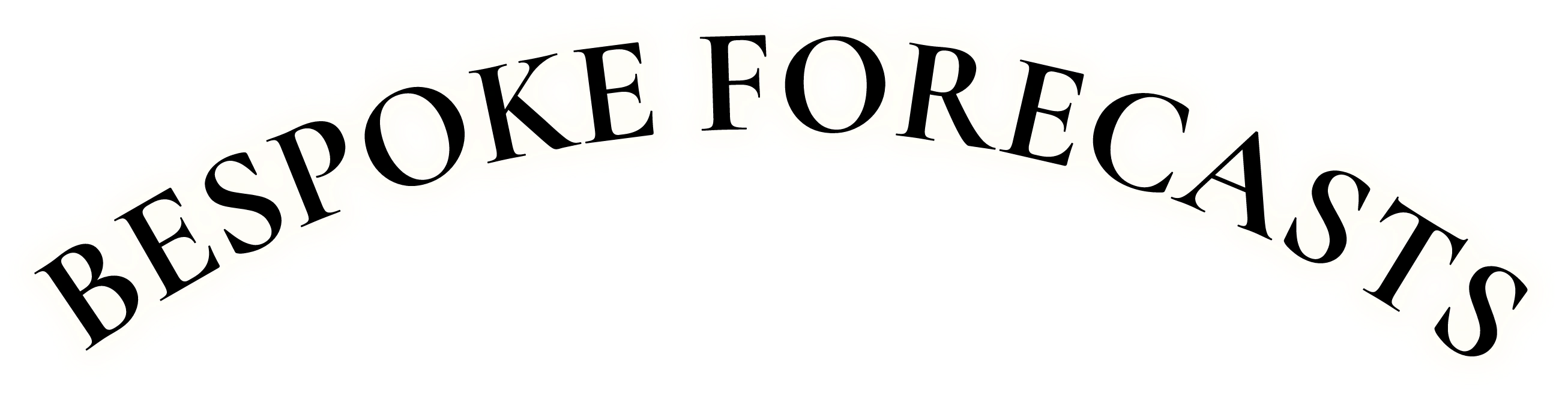 Bespoke Forecasts